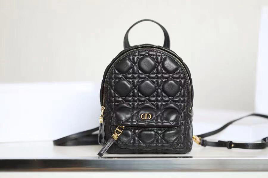 Balo nữ mini DIOR BACKPACK like auth