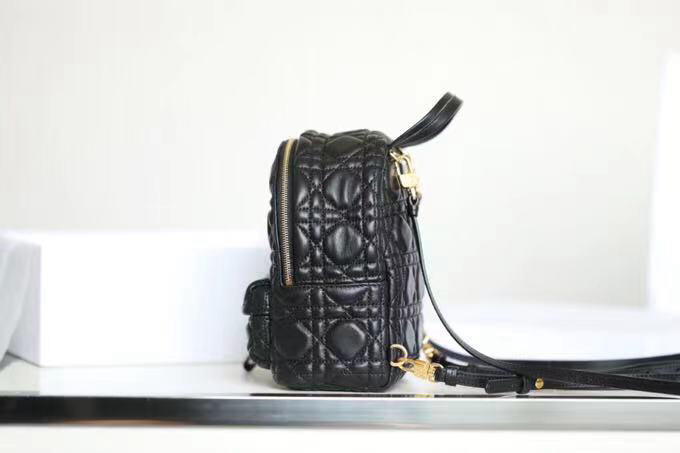 Balo nữ mini DIOR BACKPACK like auth