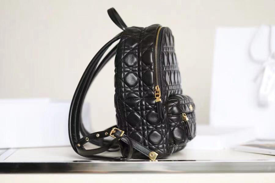 Balo nữ DIOR BACKPACK like auth